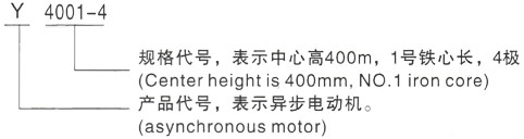 西安泰富西玛Y系列(H355-1000)高压YE2-160L-4三相异步电机型号说明