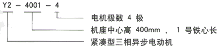 YR系列(H355-1000)高压YE2-160L-4三相异步电机西安西玛电机型号说明